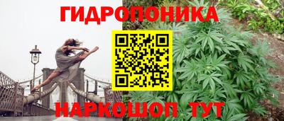 СК Шебекино