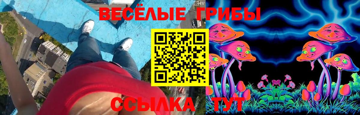 Галлюциногенные грибы Cubensis  Вход с VPN  Шали  Псилоцибиновые грибы мицелий 