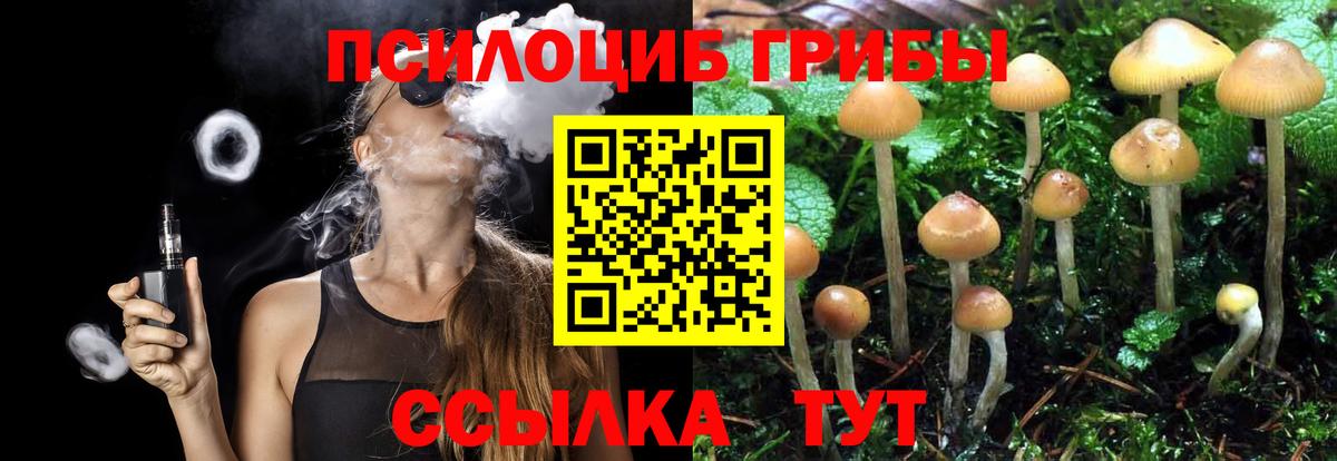 Галлюциногенные грибы MAGIC MUSHROOMS Шали