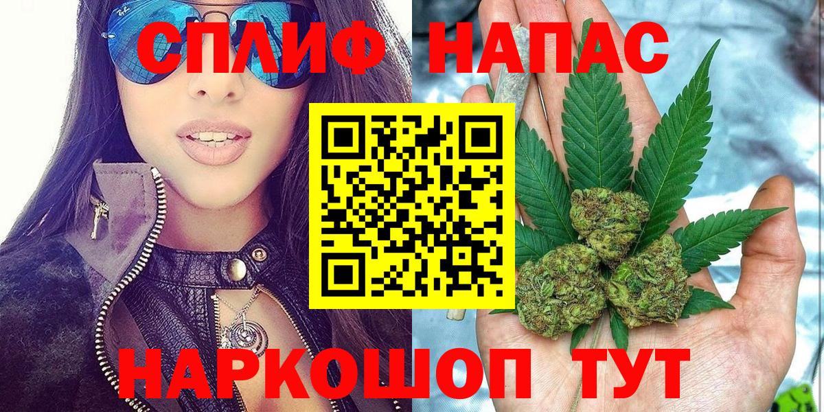 Каннабис сатива Шали